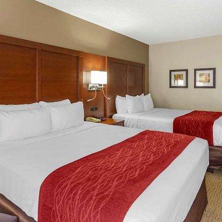 Comfort Inn&Suites Rochelle Eksteriør bilde